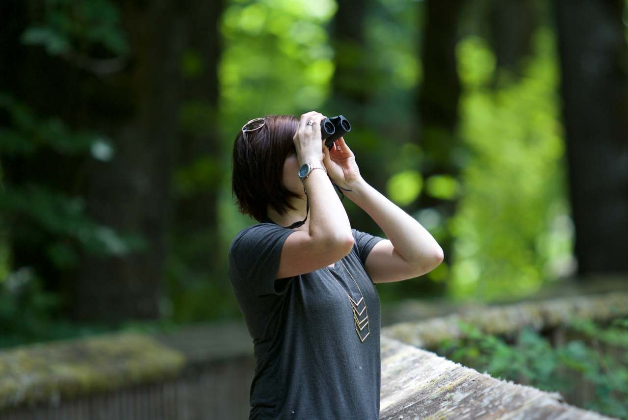 Women in forest using binoculars