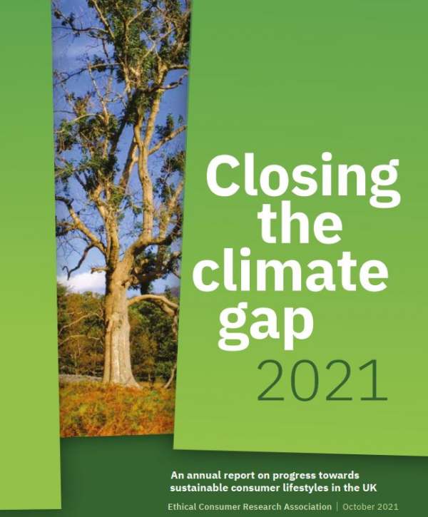 Cover of report with tree on the front