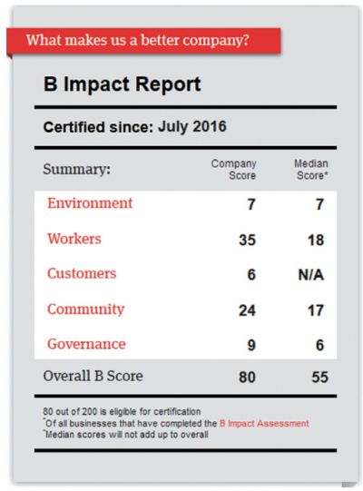 Screenshot of example of B Impact Report from 2016